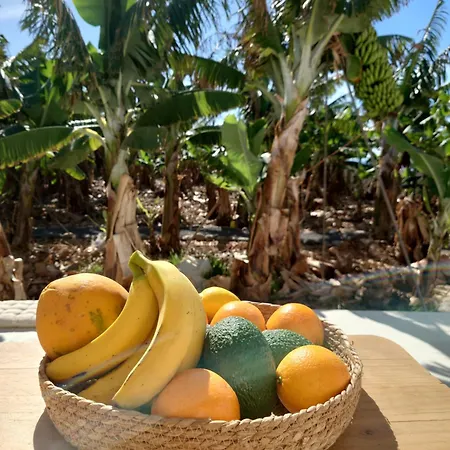 Don Victor Tatil Evi *