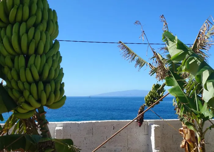 Don Victor * Playa de San Juan (Tenerife)