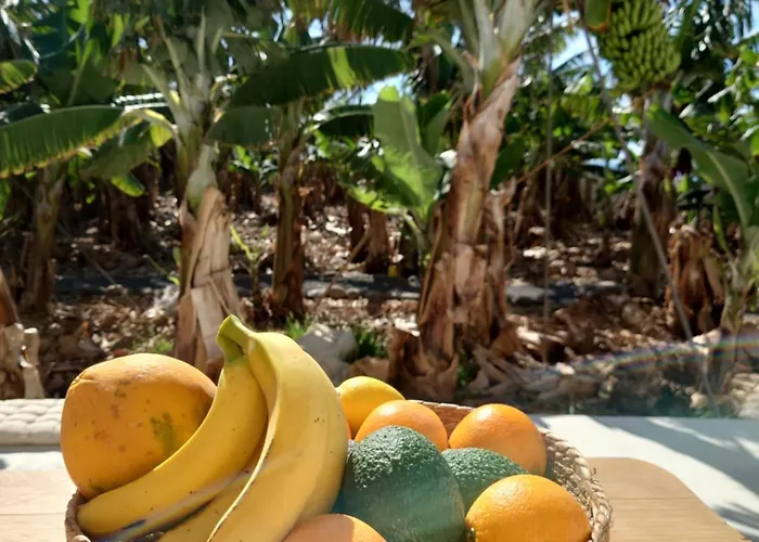 Don Victor Dom wakacyjny *