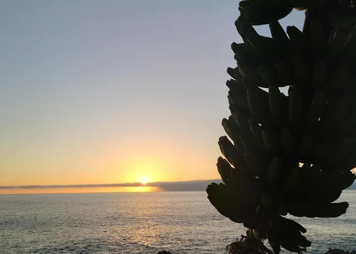 Don Victor Tatil Evi *